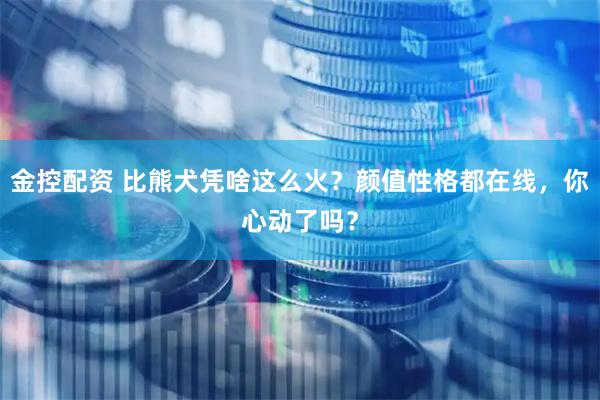 金控配资 比熊犬凭啥这么火？颜值性格都在线，你心动了吗？