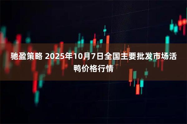 驰盈策略 2025年10月7日全国主要批发市场活鸭价格行情