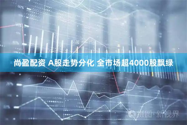 尚盈配资 A股走势分化 全市场超4000股飘绿