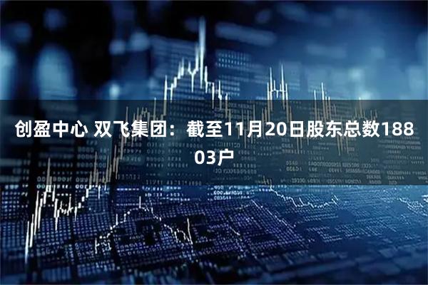 创盈中心 双飞集团：截至11月20日股东总数18803户